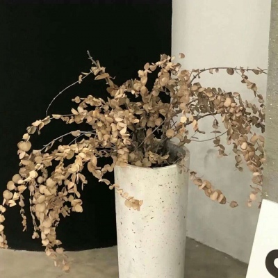 兽设背景故事创作FurryQQ群